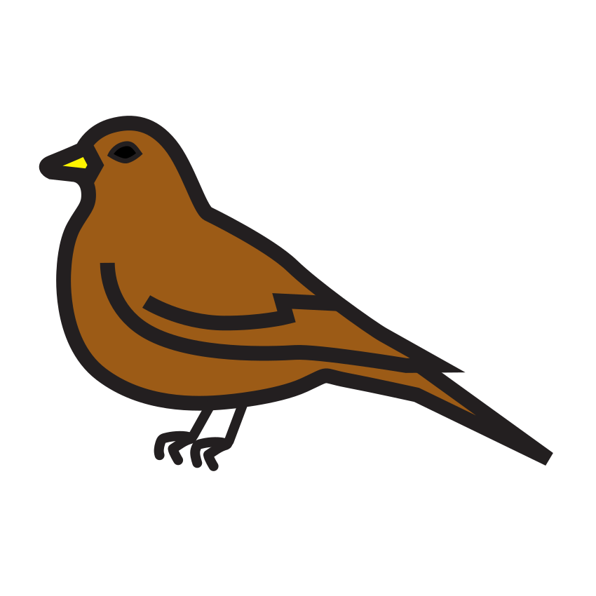 oiseau